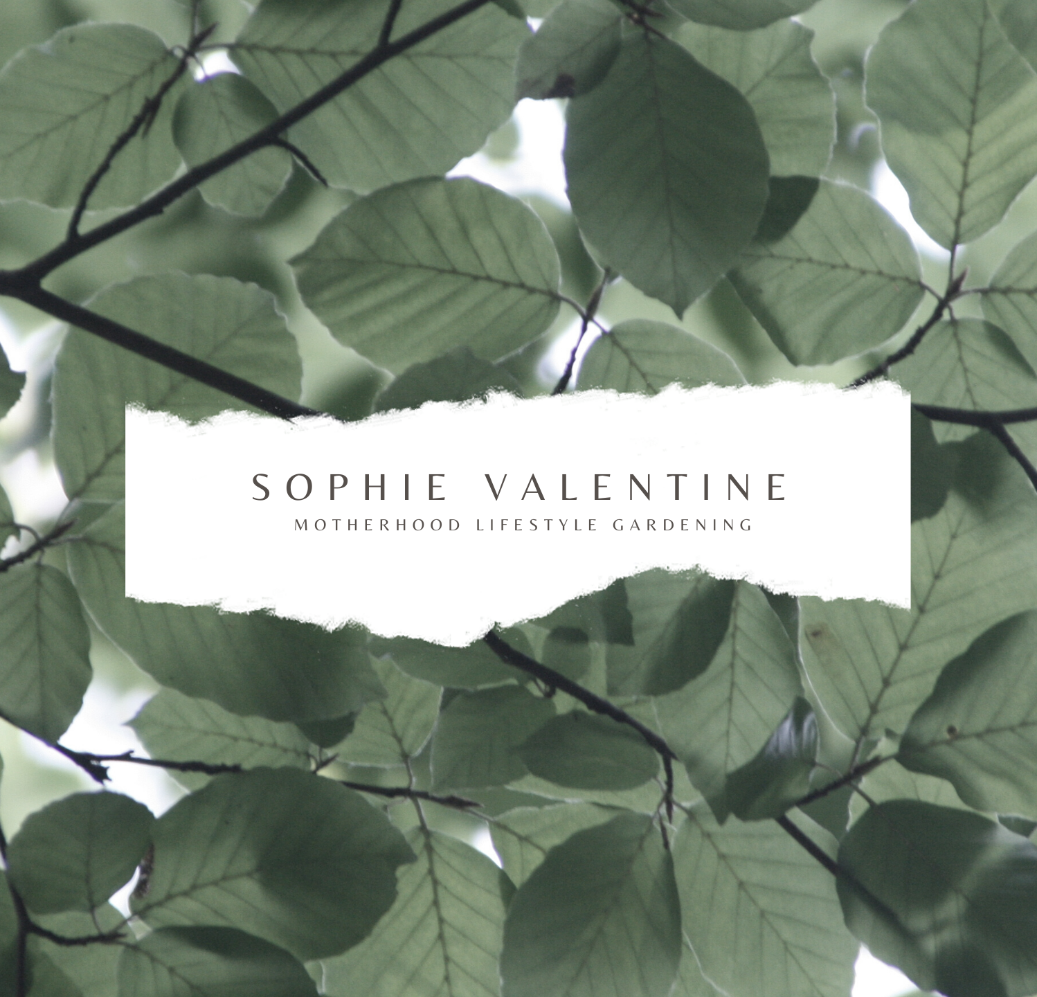 Sophie Valentine